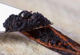 100% Pure Gourmet Vanilla Beans Organic Vanilla Beans Baking Pod y Non Gmo Black Brown Color del mejor proveedor - Product Image 5