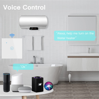 Interruptor Inteligente WiFi Tuya de 40A para Calentador de Agua, Panel Táctil, Control Remoto por Aplicación, Interruptor Inteligente para Caldera, Interruptor de Pared Eléctrico