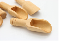 Cuillère courte en bois de bambou, 5 pièces, mini bols plats en bois de mesure de la cuisine pour les salches de bain, vente en gros