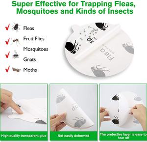 Chingyoo fábrica venta al por mayor Gran oferta <span class=keywords><strong>mejor</strong></span> hogar seguro asesino trampa para pulgas papel adhesivo - Product Image 3