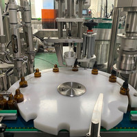 Machine de remplissage automatique de liquides 10/30/60/100/120 ml pour sirops, jus, gouttes orales, vitamines, extraits de plantes, bouteilles d'huile de massage corporel