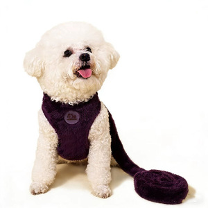 Grensoverschrijdende groothandel teddybeer katten borsttuig trekkoord herfst en winter warme pluche vlinder honden borsttuig - Product Image 2