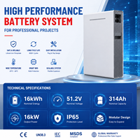 Système de stockage d'énergie LiFePO4 étanche 16 kWh 51,2 V 314 Ah en stock UE pour projets solaires EPC et entreprises d'ingénierie photovoltaïque