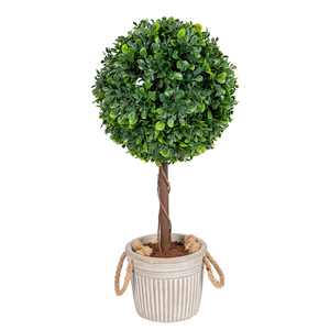 กระถางปลูกต้นไม้สาหร่ายทรงกลมต้นไม้ต้นไม้ต้นไม้กลางแจ้งต้นไม้ต้นไม้ตกแต่งสวนอย่างสร้างสรรค์ออฟฟิศภูมิทัศน์กระถางพืชสีเขียว - Product Image 1