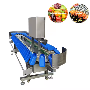 Automatic Small Fish & <b>Fruit</b> Weight Sorter <b>Machine</b> with PLC 304 Stainless Steel for <b>Vegetables</b> and <b>Fruit</b> <b>Processing</b> - Product Image 5