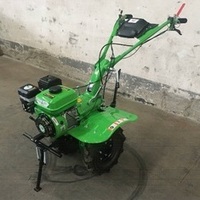 Nouveau Design italien BCS cultivateur rotatif 7hp motoculteur tracteur BCS730 série motoculteur chinois