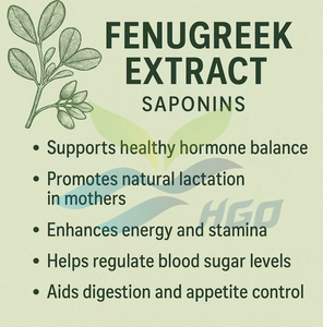 Hgo สารสกัดฟีนูกรีกจากธรรมชาติบริสุทธิ์ (เกรดอาหาร) ข้อมูลจำเพาะของซาโปนิน50% (สารสกัดมาตรฐาน) - Product Image 5