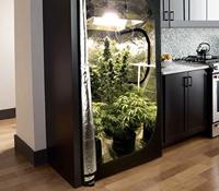 150*150*200CM LED boîte de culture maison Kit de croissance de plantes d'intérieur facile à assembler cadre en métal traité sous pression bois tente de culture