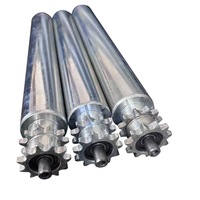 Galet de convoyeur non motorisé en acier inoxydable, axe de rouleau galvanisé pour convoyeur à bande, rouleau de déchargement
