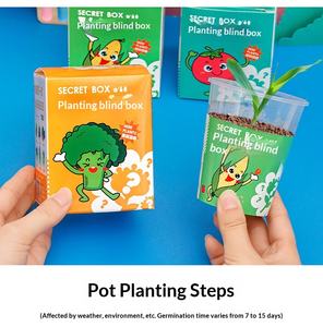 Boîte mystère <span class=keywords><strong>de</strong></span> plantes en pot en plastique pour enfants <span class=keywords><strong>de</strong></span> <span class=keywords><strong>maternelle</strong></span> – Petits cadeaux pour les 7-12 ans, utilisation créative sur bureau - Product Image 5