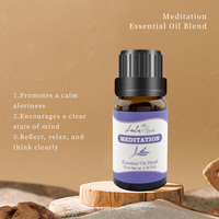 Logo personnalisé Original vente en gros, huile essentielle de diffuseur de menthe poivrée d'eucalyptus d'arbre à thé d'aromathérapie de relaxation professionnelle Pure naturelle