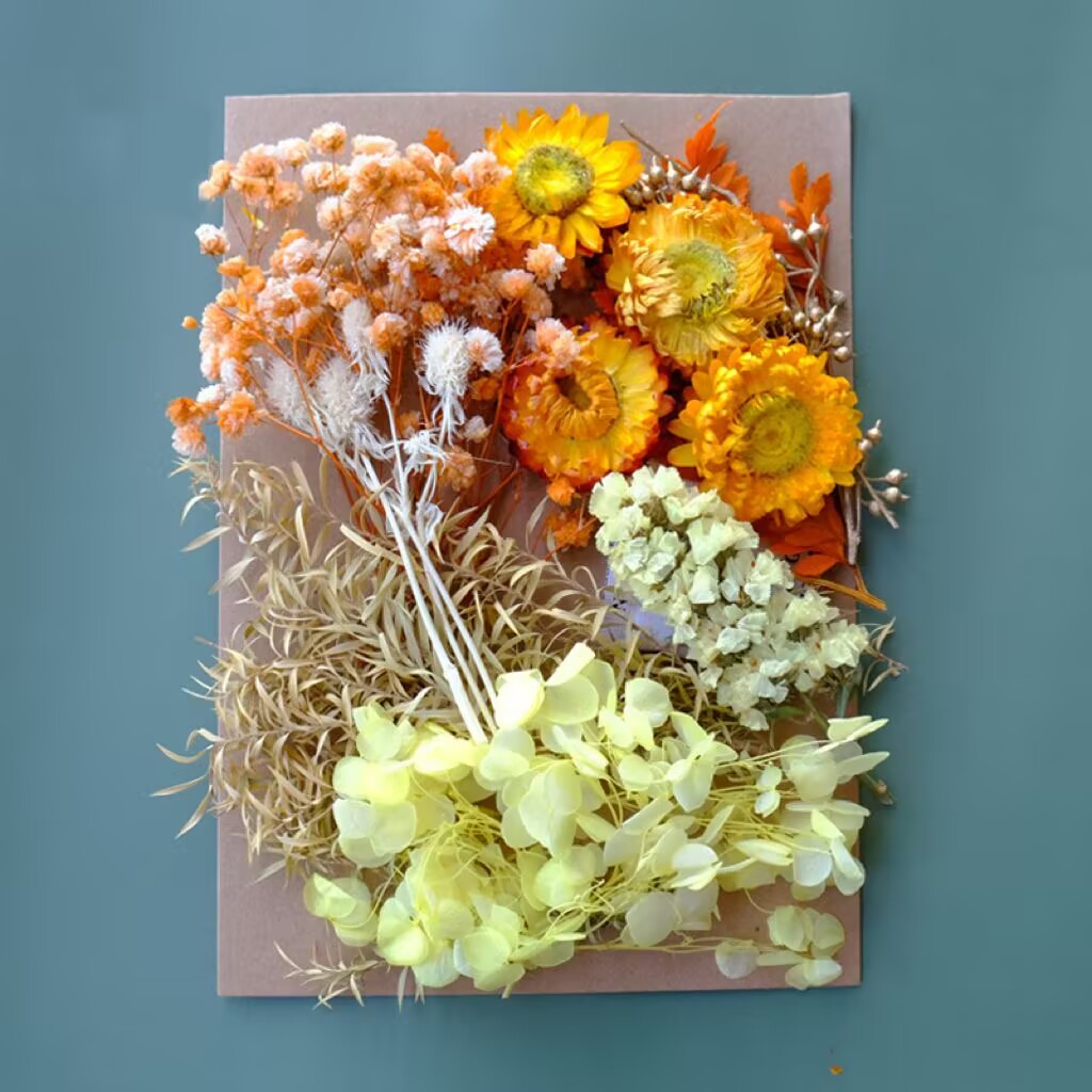 Fleur séchée#4