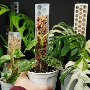 DIY模块化塑料苔藓杆棒，适用于Monstera植物杆攀爬植物支持室内植物泥炭藓杆组