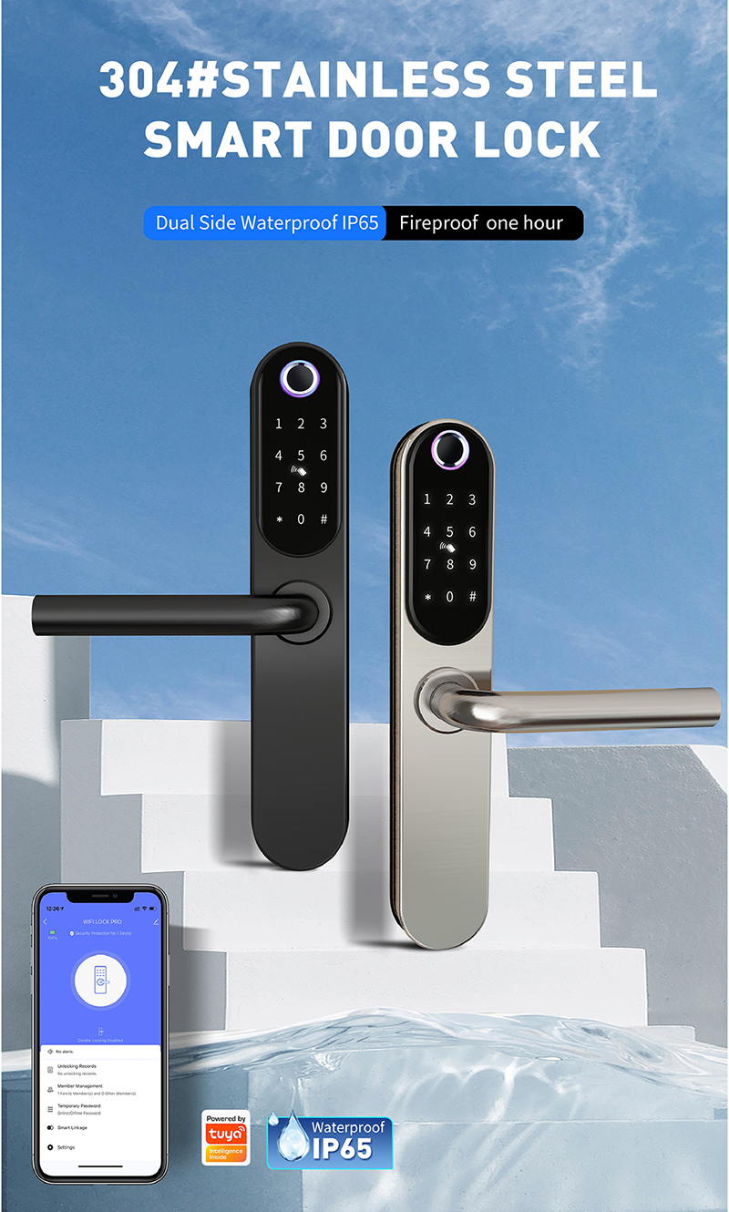 Tuya App-Controlled WiFi Keyless Entry Aluminum Alloy Steel Lock Fingerprint Recognition Memory Card Grade C Security for · image 4