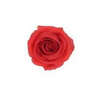 Realistische Seidenrosen-Blütenköpfe für Hochzeits-DIY-Schmuck, Blumenwand, Braut-Kopfschmuck, Dekoration und Arrangement