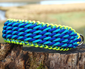 Nuevo <span class=keywords><strong>Collar</strong></span> Trenzado Ancho de Poliéster Duradero con Hebilla para Perros y Gatos, Pequeño, Moderno y Resistente, para Paseo y Entrenamiento <span class=keywords><strong>2026</strong></span> - Product Image 2