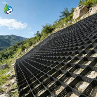 Промышленные сверхпрочные текстурированные георешетки из HDPE для стабилизации гравия, грунта, дорожных оснований и укрепления склонов на открытом воздухе