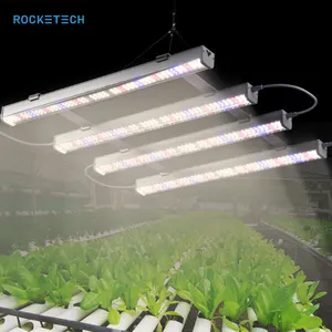높은 PPFD 100W LED 성장 빛 T5 T8 T12 T20 실내 식물 조명 설비 튜브 660nm UV IR 전체 스펙트럼 식물 램프