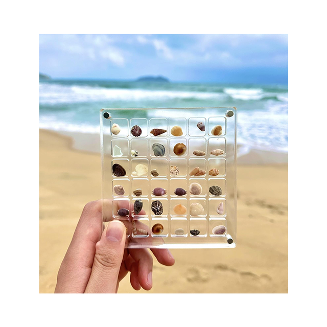 Acrylic Magnetic Seashell Display Case 36 Grids Trinket Storage Box Starfish Seashell Display Rack Decorative Case Home Office