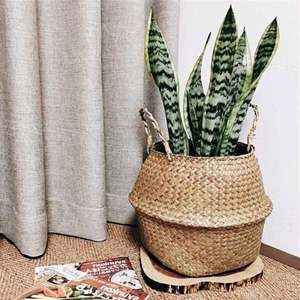 Placa Murale Africaine En Osier Rechauffer A Chaud Pour Les Grandes Casseroles Des Et Poeles Rotin Jouent - Product Image 4