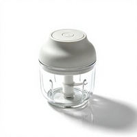 Hachoir Électrique Portable USB OEM 250ml en Acier Inoxydable, Mini Broyeur de Viande et Légumes Rechargeable pour Usage Domestique