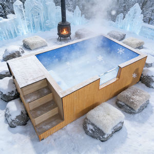 Piscina de Jardín con Paisajismo, Decoración Acuática e Instalación de Borde de Azulejos Personalizado - Product Image 2