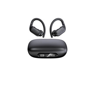 מכשירי שמיעה חדשים לשנת 2025 עם תצוגה דיגיטלית, נרתיק טעינה, התאמה נוחה ובלתי נראית, ישירות מהמפעל למסחר חוצה גבולות - Product Image 5