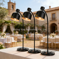 Lampe chauffante électrique noire pour aliments, chauffe-plat individuel pour frites, cafétéria, buffet, réceptions
