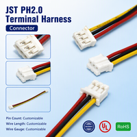 Câble de raccordement personnalisé PH2.0mm 2-16P avec connecteur PVC pour PCB, électronique grand public, drones, robots et maison intelligente