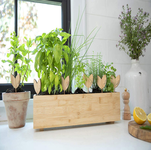 Kit de jardinage d'intérieur sur fenêtre, idées de cadeaux uniques <span class=keywords><strong>pour</strong></span> Pâques <span class=keywords><strong>pour</strong></span> femmes, mamans, amies - Product Image 2