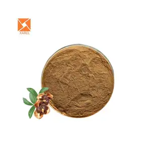 Natural Camellia Sinensis Extract Tea Seed Extract tea seed powder