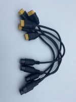 Câble adaptateur de connecteur à courant élevé vers prise aviation M20 2*0,75 mm² pour connexion de stockage d'énergie