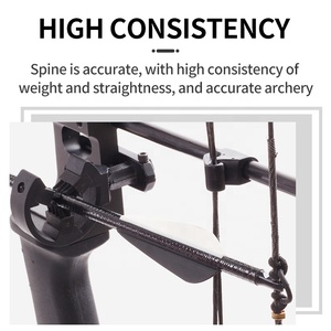 Frecce in Fibra di Vetro Arrotolata da 31 Pollici per Tiro con l'<span class=keywords><strong>Arco</strong></span>, ID 6.2mm, 30-55 Libbre, per <span class=keywords><strong>Arco</strong></span> Compound e Ricurvo, Punte Avvitabili per Pratica di Tiro e Caccia - Product Image 5