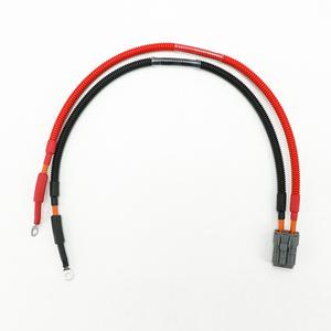 맞춤형 새로운 에너지 고전류 2P 여성 7123-4220-40 커넥터 골판지 파이프와 배선 하네스 - Product Image 1