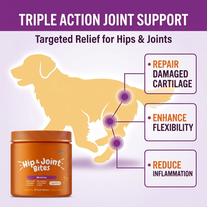 Glucosamine gratuite Supplément articulaire <span class=keywords><strong>pour</strong></span> <span class=keywords><strong>chiens</strong></span> Soulagement des douleurs articulaires Soins Santé Doux à mâcher avec du manganèse Moule à lèvres vertes Vitamines C E - Product Image 3