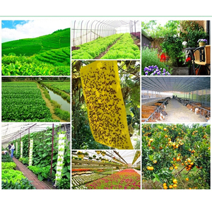 Suministro de fábrica OEM precio de descuento personalizado gigante al aire libre trampa para moscas feromonas moscas de la fruta de papel - Product Image 3