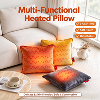 Coussin chauffant USB multi-scènes pratique, doux au toucher, idéal pour les entreprises de vente au détail et les cadeaux de fin d'année (commande en gros)