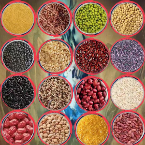 Machines d'emballage pour noix de cajou, graines de soja, cacahuètes, pistaches, amandes, noisettes, aliments secs, fruits secs, noix - Product Image 4