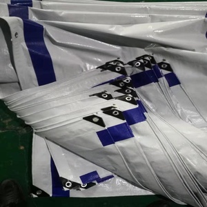 Chine Fabricant PE Enduit Toiles D'<span class=keywords><strong>ensilage</strong></span> - Product Image 4