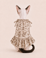 Robe pour chat de compagnie 2 en 1 style Hamolly à imprimé floral, ourlet à volants délicats avec bonnet décoratif assorti, vêtements pour usage quotidien