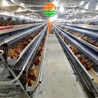 Cage à poules pondeuses moderne pour élevage avicole