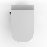 WC intelligent certifié CE, blanc, carré, suspendu au mur, bidet électrique multifonction