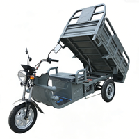 Tricycle Électrique 60V 1000W Personnalisé à 3 Roues pour Adultes, Type Camionnette Benne Basculante, avec Plateforme de Chargement pour Camping et Transport de Marchandises