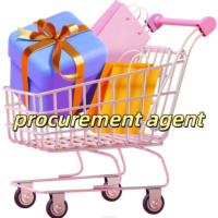 Promotion Achats Transfrontaliers Coopération Spéciale Services Gérés à Domicile sur Tout le Processus Agent d'Achat 1688 Drop Express