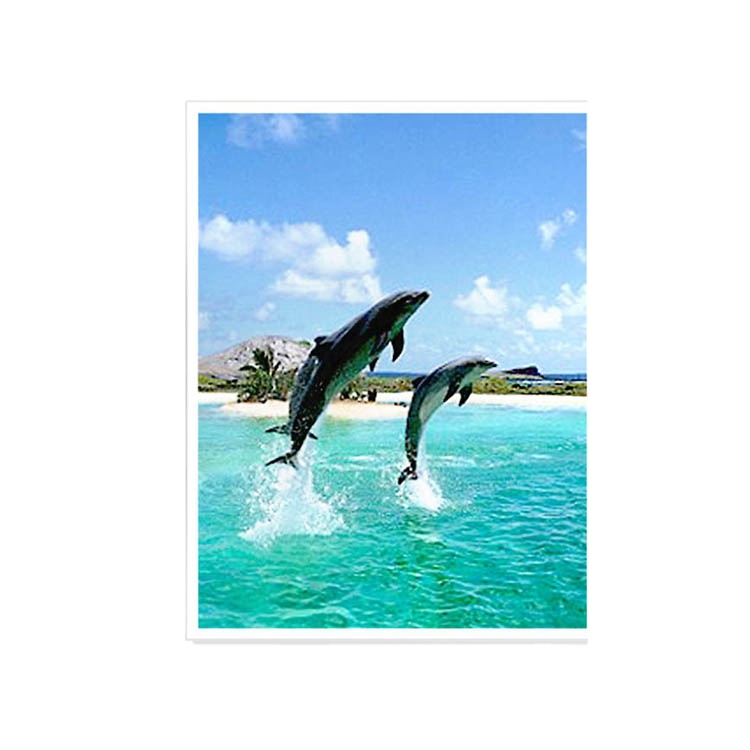 Существующий дизайн, высокое качество, 3D линзовидные флип-изображения разных размеров