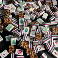 En stock : Luxueux jeu de Mahjong américain à quatre couches en acrylique motif écaille de tortue, 160 tuiles, pour le divertissement quotidien des personnes