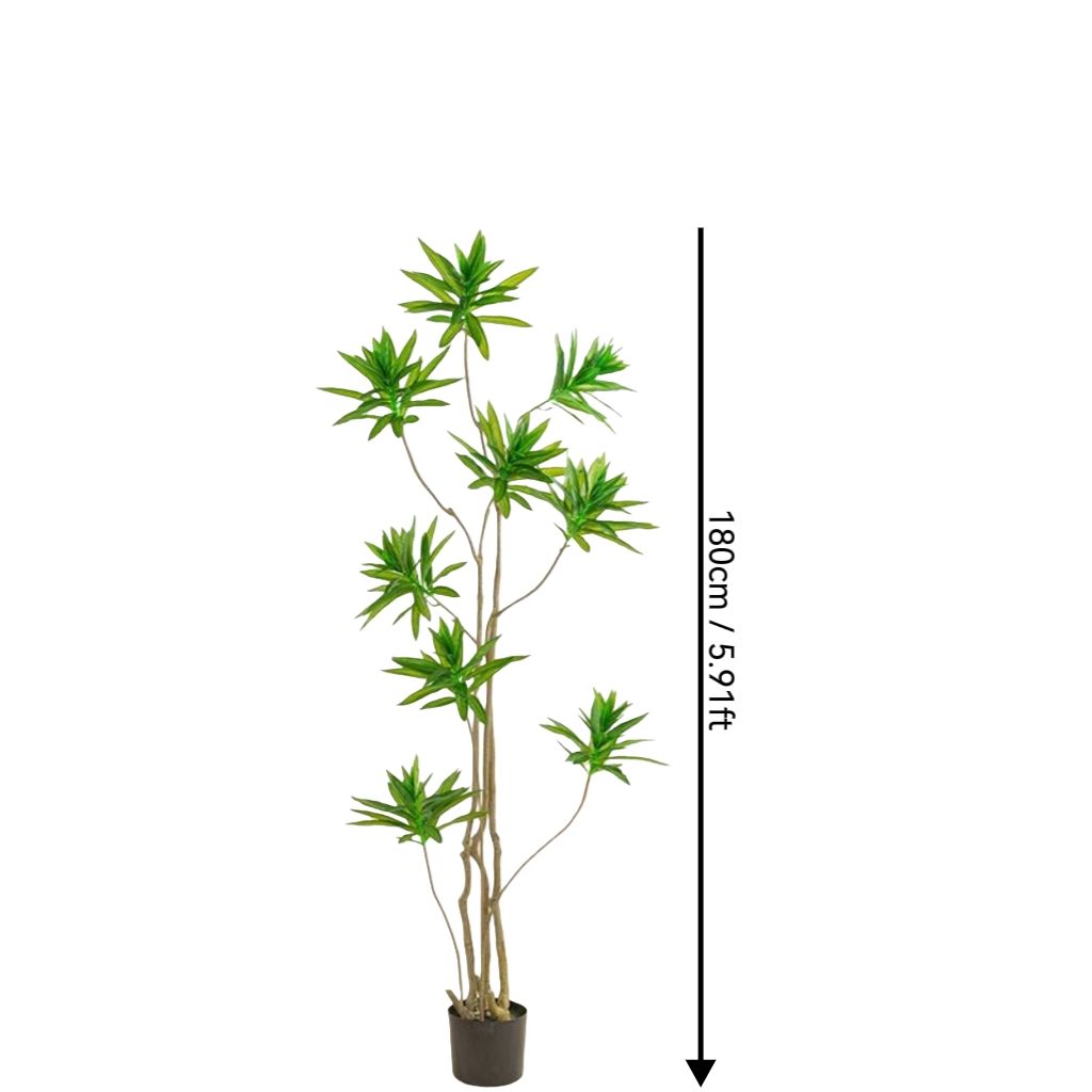 Vert 5,91 pieds/180 cm