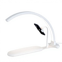 Nouvelle lampe de table UV LED demi-lune 3 en 1 avec support pour téléphone et repose-bras, 36W, luminosité réglable, lumière pour la beauté des ongles
