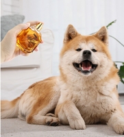 Parfum pour chien professionnel sous marque privée, longue durée, doux, déodorant pour animaux sans alcool, produits de soin écologiques pour animaux OEM