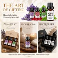 Huiles essentielles pour les soins de la peau, logo personnalisé, huile de massage écologique, extrait de plantes pures, huile parfumée 10 ml, huile aromathérapeutique
